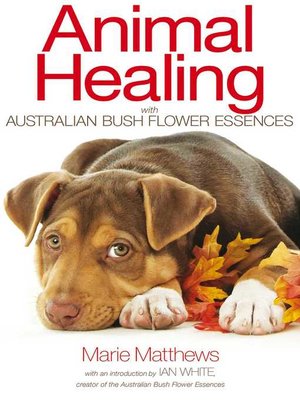 cover image of Animal Healing with Australian Bush Flower Essences